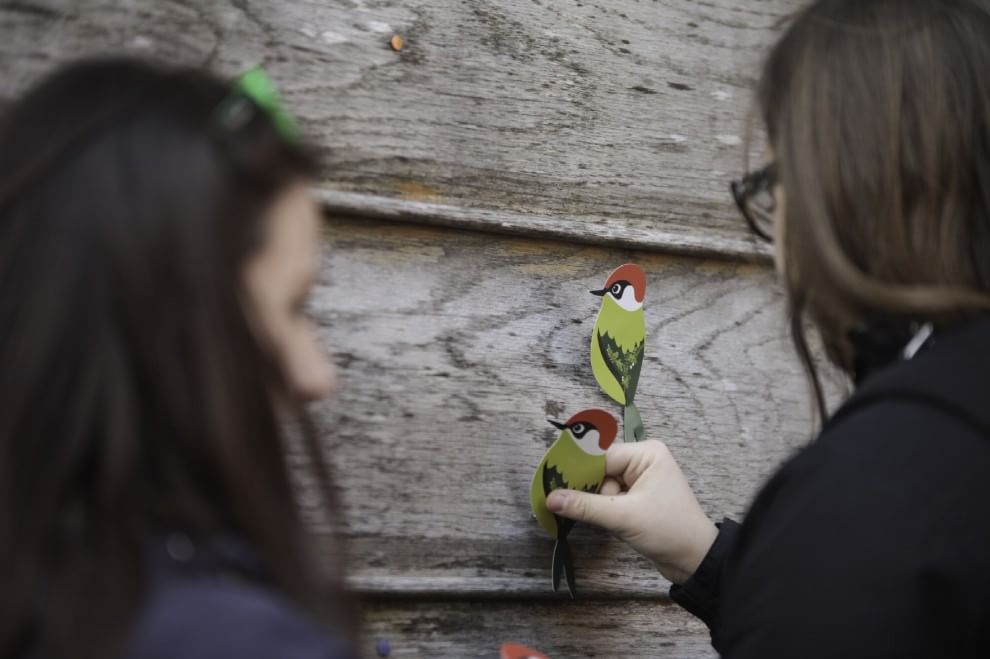 Lipu, parte la campagna di primavera