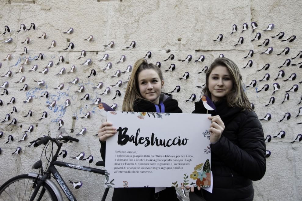 Lipu, parte la campagna di primavera