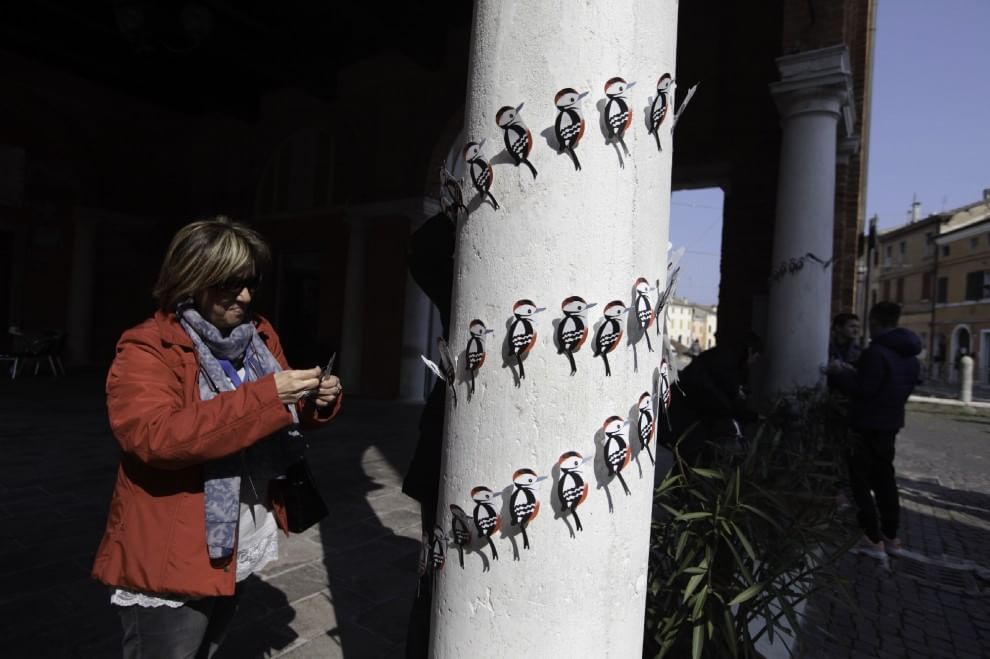 Lipu, parte la campagna di primavera