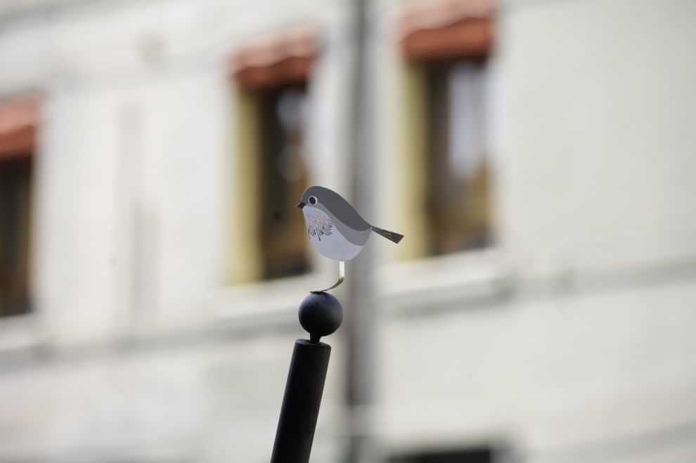 Lipu, parte la campagna di primavera