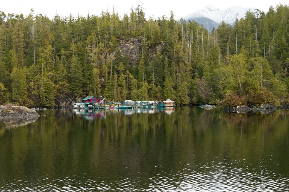 In fuga dalla civiltà: la casa galleggiante tra i boschi del Canada 