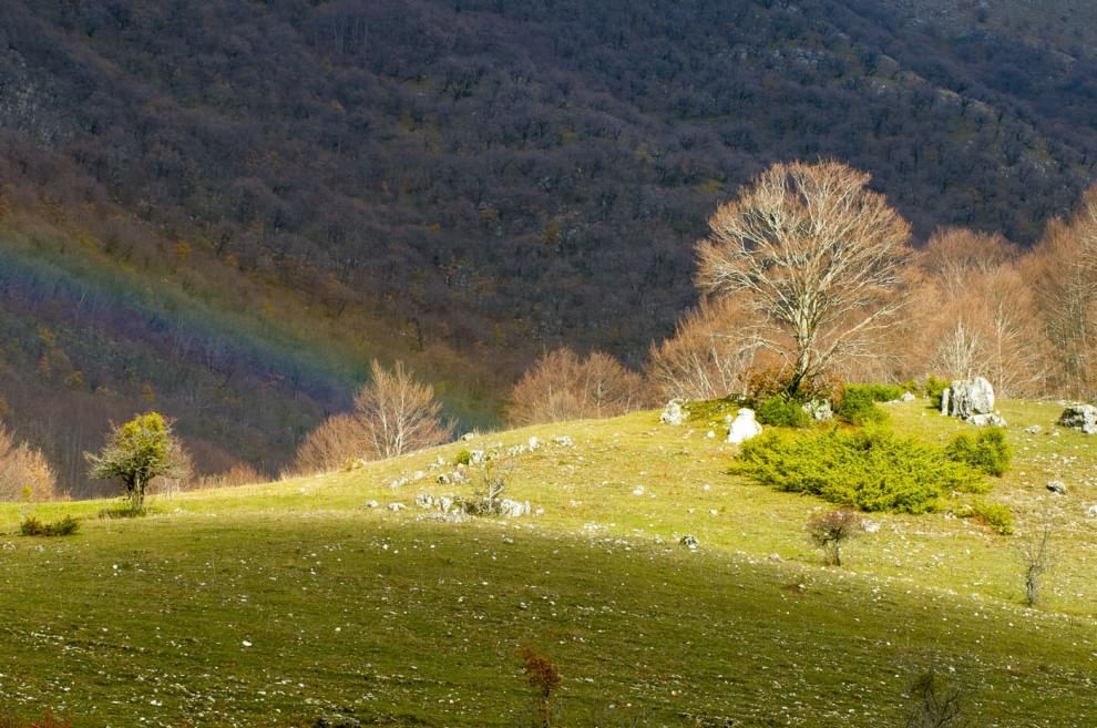 Sulla Via dei lupi, un incontro di meraviglie