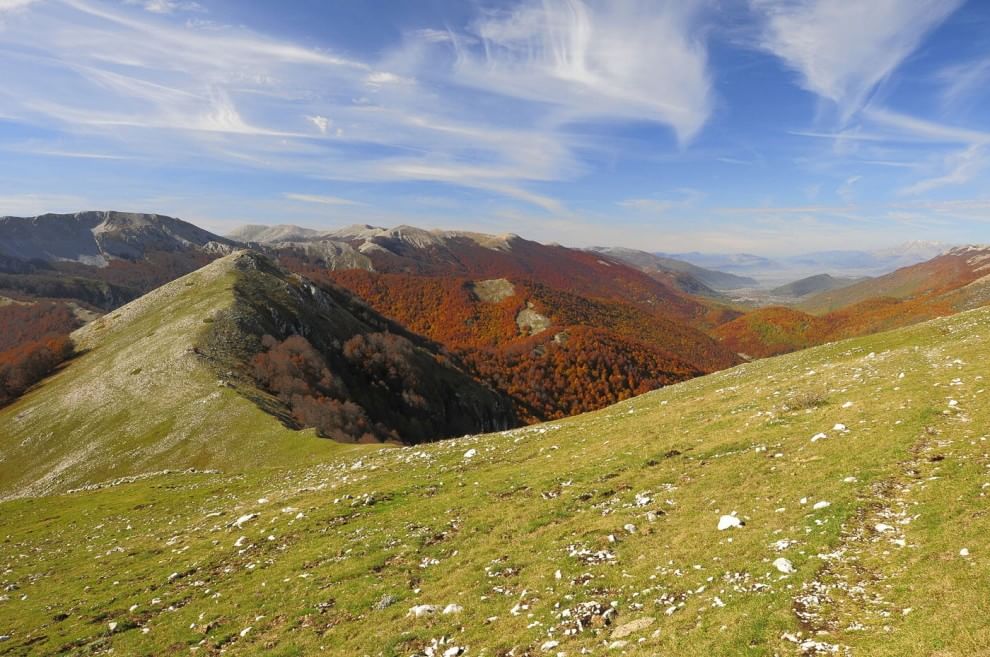 Sulla Via dei lupi, un incontro di meraviglie