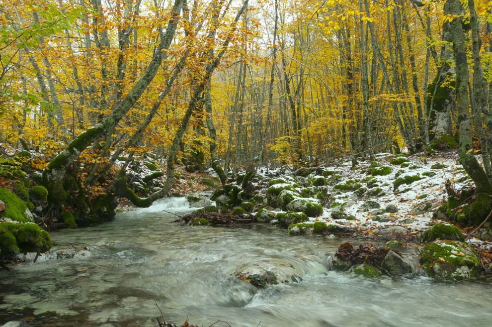 Sulla Via dei lupi, un incontro di meraviglie