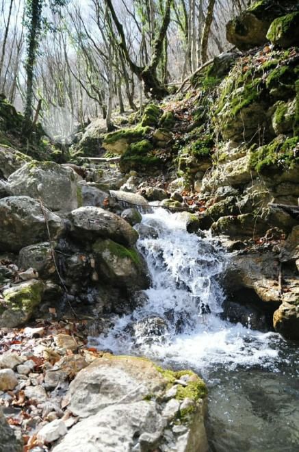Sulla Via dei lupi, un incontro di meraviglie