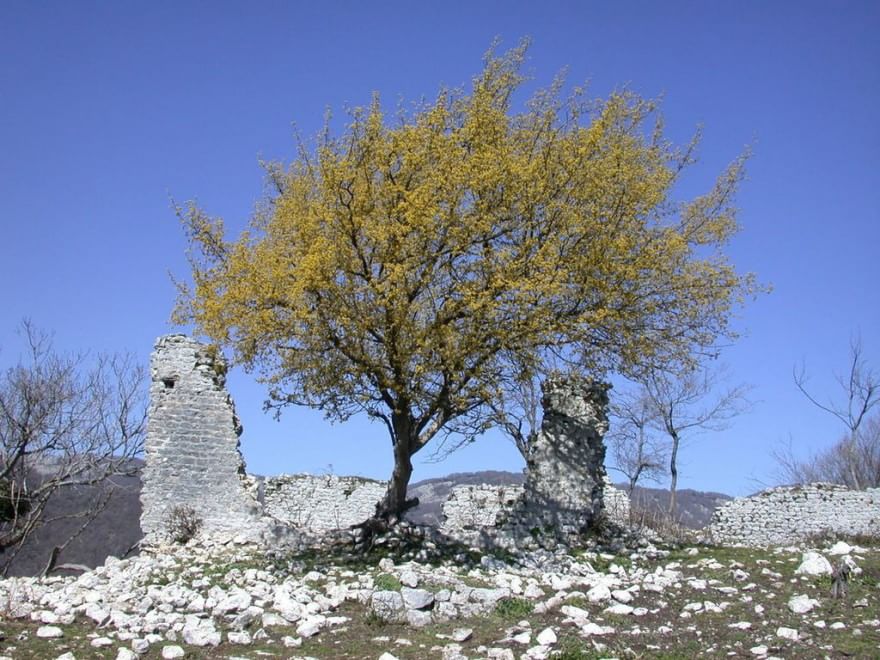 Sulla Via dei lupi, un incontro di meraviglie