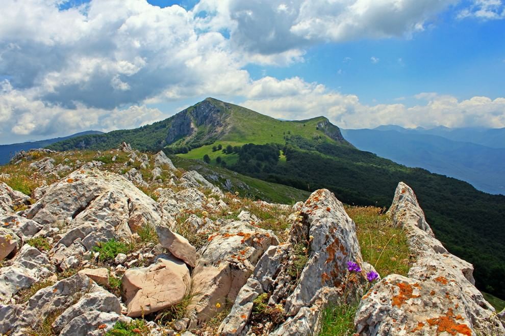 Sulla Via dei lupi, un incontro di meraviglie