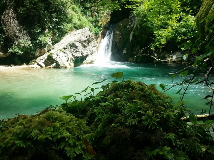 Sulla Via dei lupi, un incontro di meraviglie