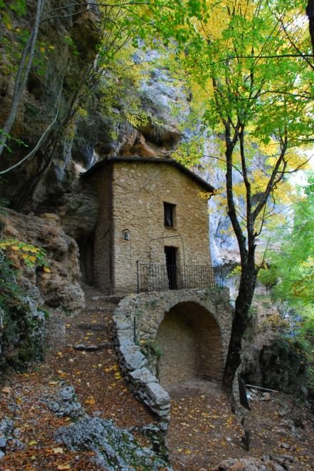 Sulla Via dei lupi, un incontro di meraviglie