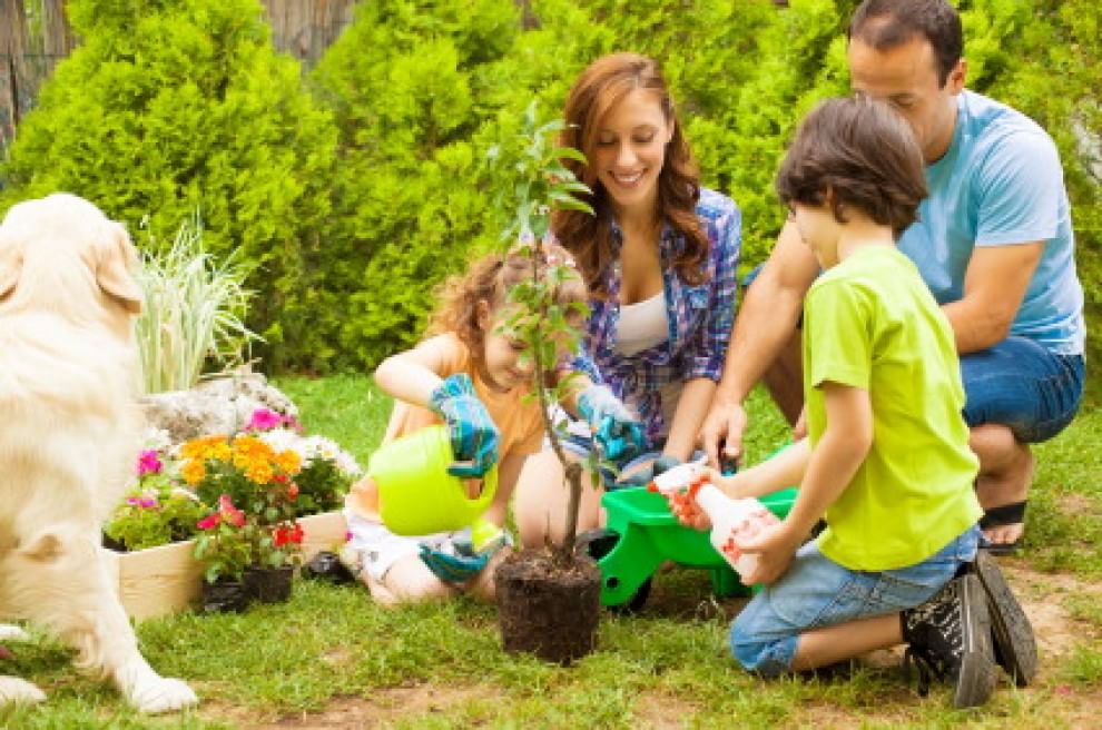 Vivere ecologico, le aziende che ti danno qualche idea