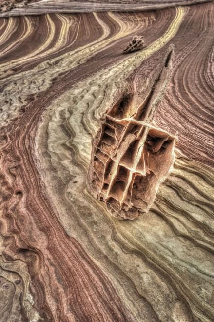 Onde psichedeliche nel deserto: le incredibili immagini dallo Utah