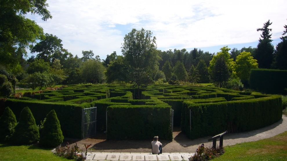 Perdersi nel verde: dentro i labirinti da giardino
