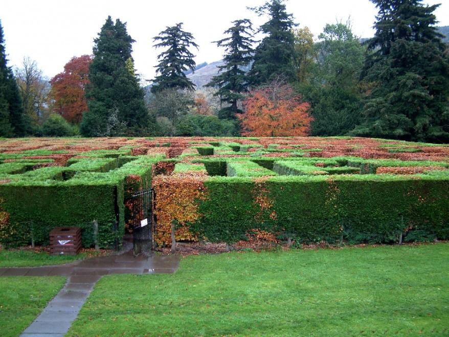 Perdersi nel verde: dentro i labirinti da giardino