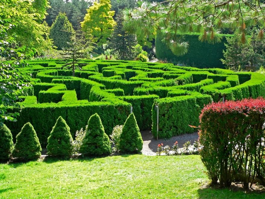 Perdersi nel verde: dentro i labirinti da giardino