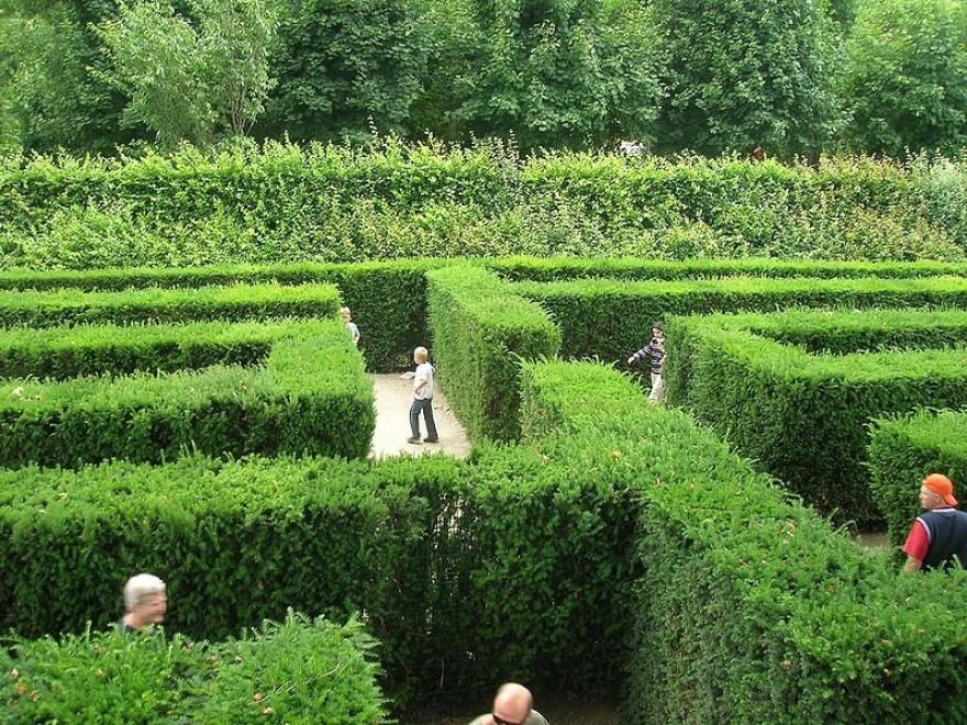Perdersi nel verde: dentro i labirinti da giardino
