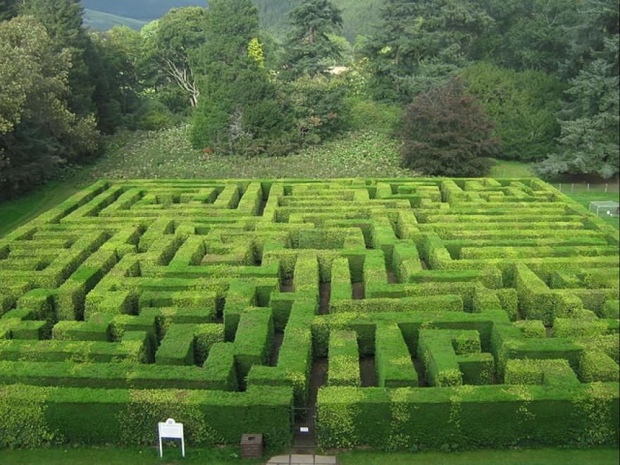 Perdersi nel verde: dentro i labirinti da giardino