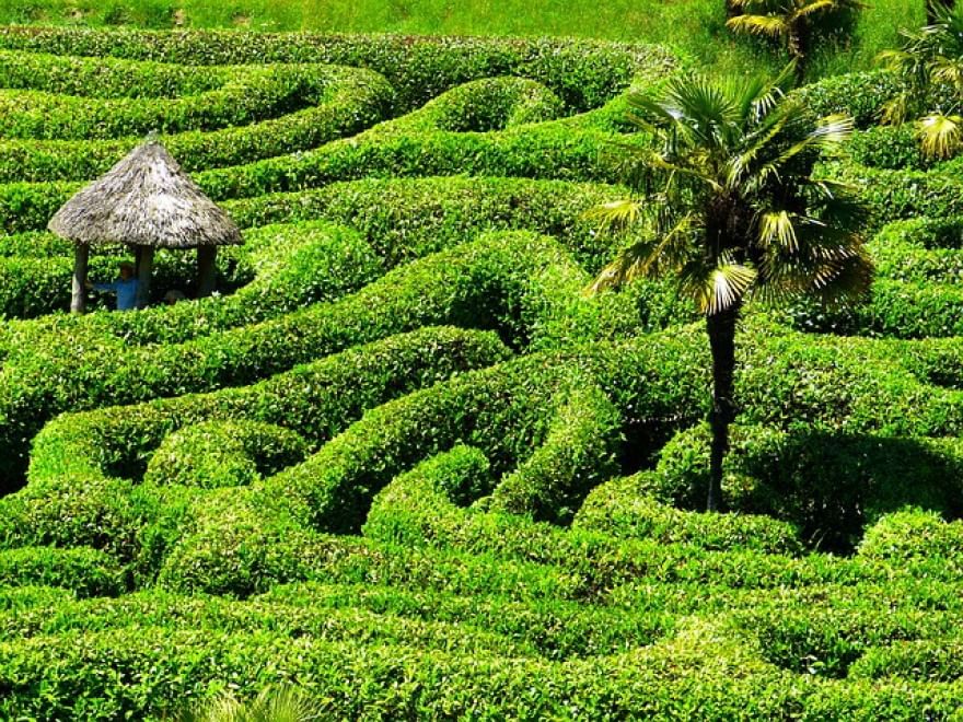 Perdersi nel verde: dentro i labirinti da giardino