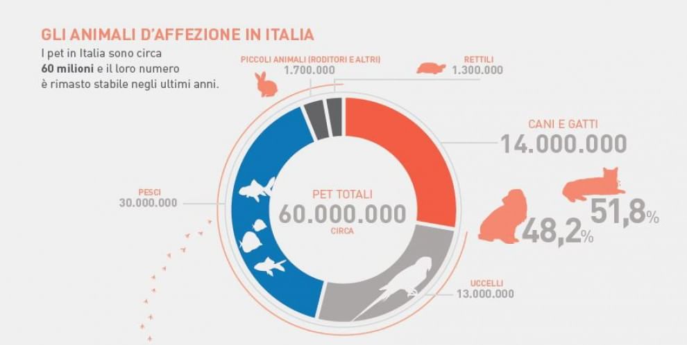 Quanti Sono 46 Miliardi Di Won In Euro