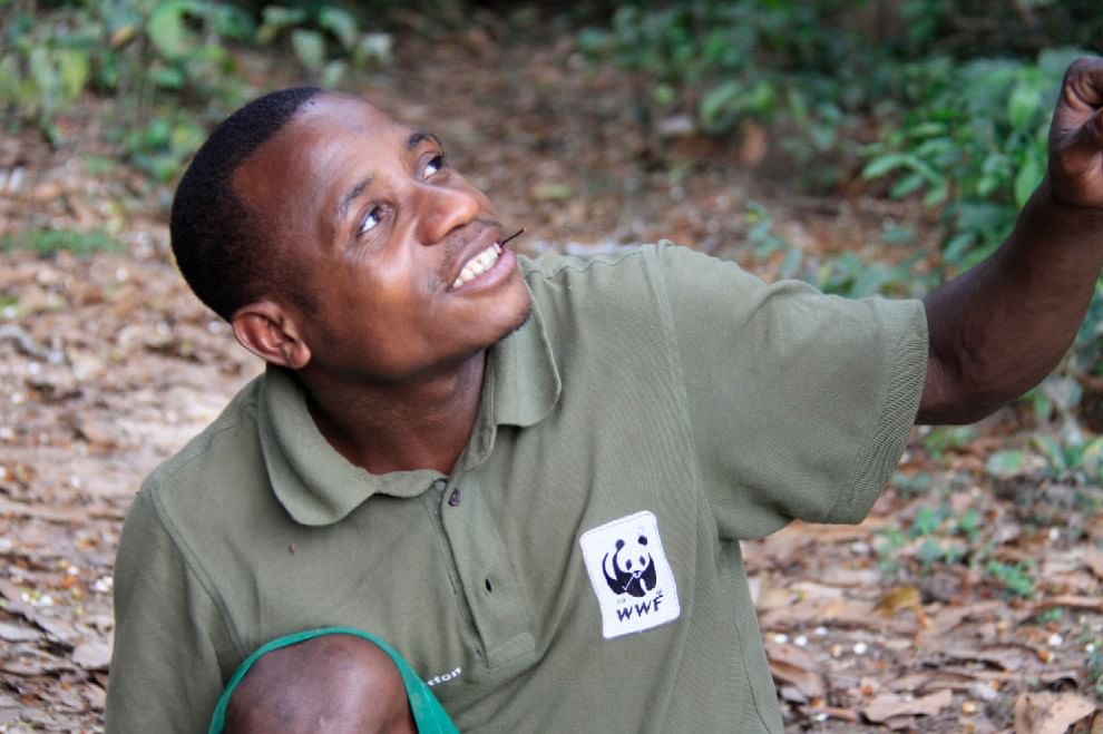 Salvare il Cuore Verde dell'Africa. La campagna del WWF