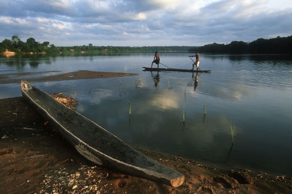 Salvare il Cuore Verde dell'Africa. La campagna del WWF