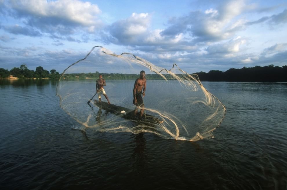 Salvare il Cuore Verde dell'Africa. La campagna del WWF