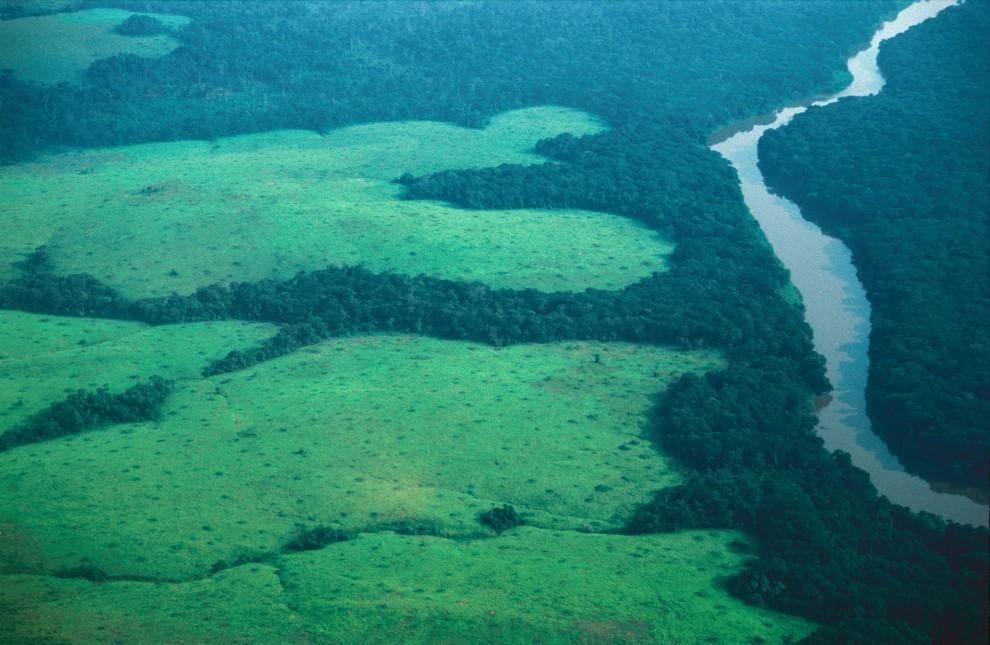 Foreste, la cintura di sicurezza verde contro i disastri naturali