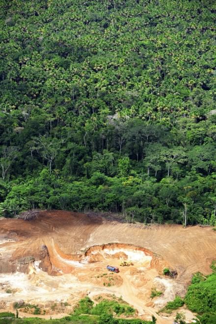 Foreste, la cintura di sicurezza verde contro i disastri naturali