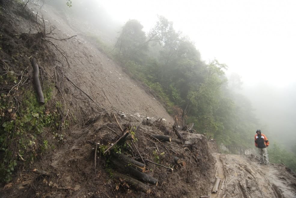 Foreste, la cintura di sicurezza verde contro i disastri naturali