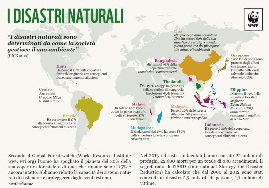 Foreste, la cintura di sicurezza verde contro i disastri naturali
