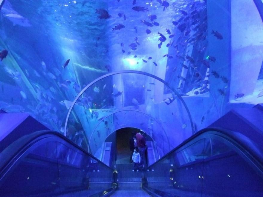 Fuga nel divertimento: i parchi a tema più visitati nel mondo