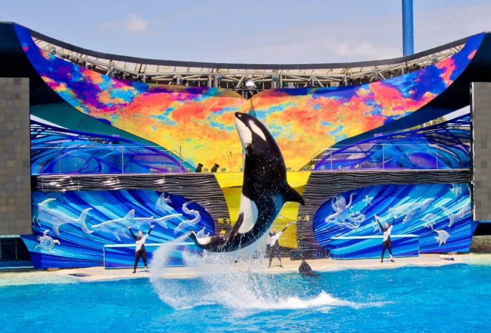 Fuga nel divertimento: i parchi a tema più visitati nel mondo