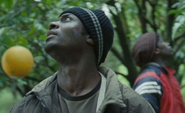 'Mediterranea', viaggio verso l'integrazione&nbsp;