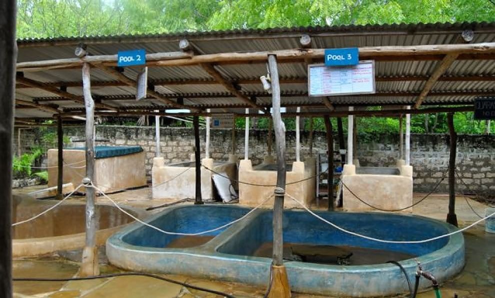 Tartarughe marine, in Kenya un "ospedale" per salvarle
