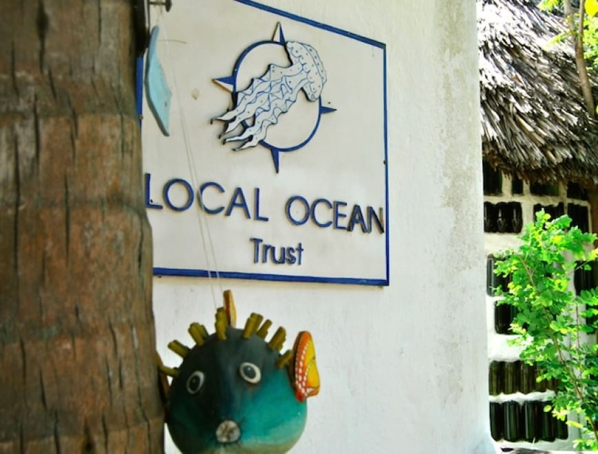 Tartarughe marine, in Kenya un "ospedale" per salvarle