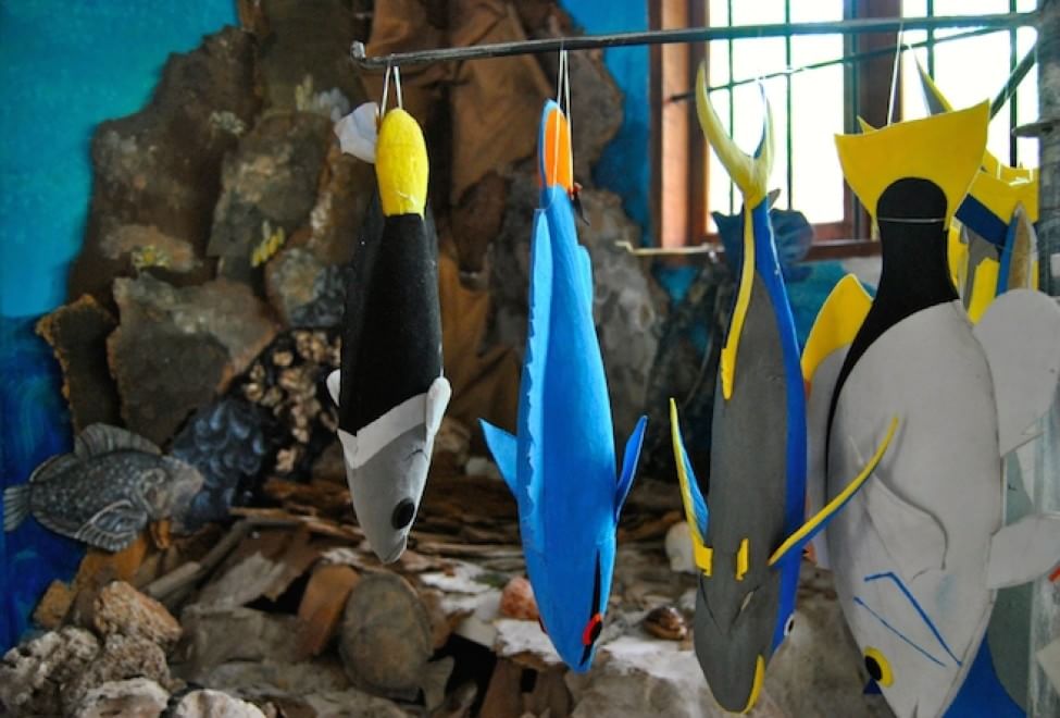 Tartarughe marine, in Kenya un "ospedale" per salvarle