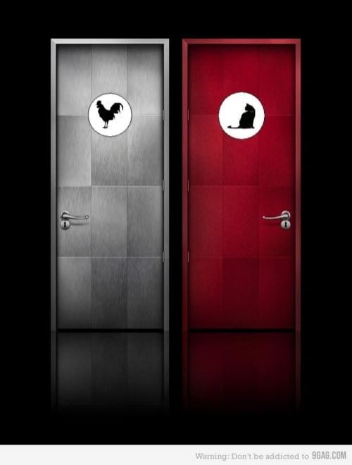 Toilette, segui il cartello: i più strani finiscono online