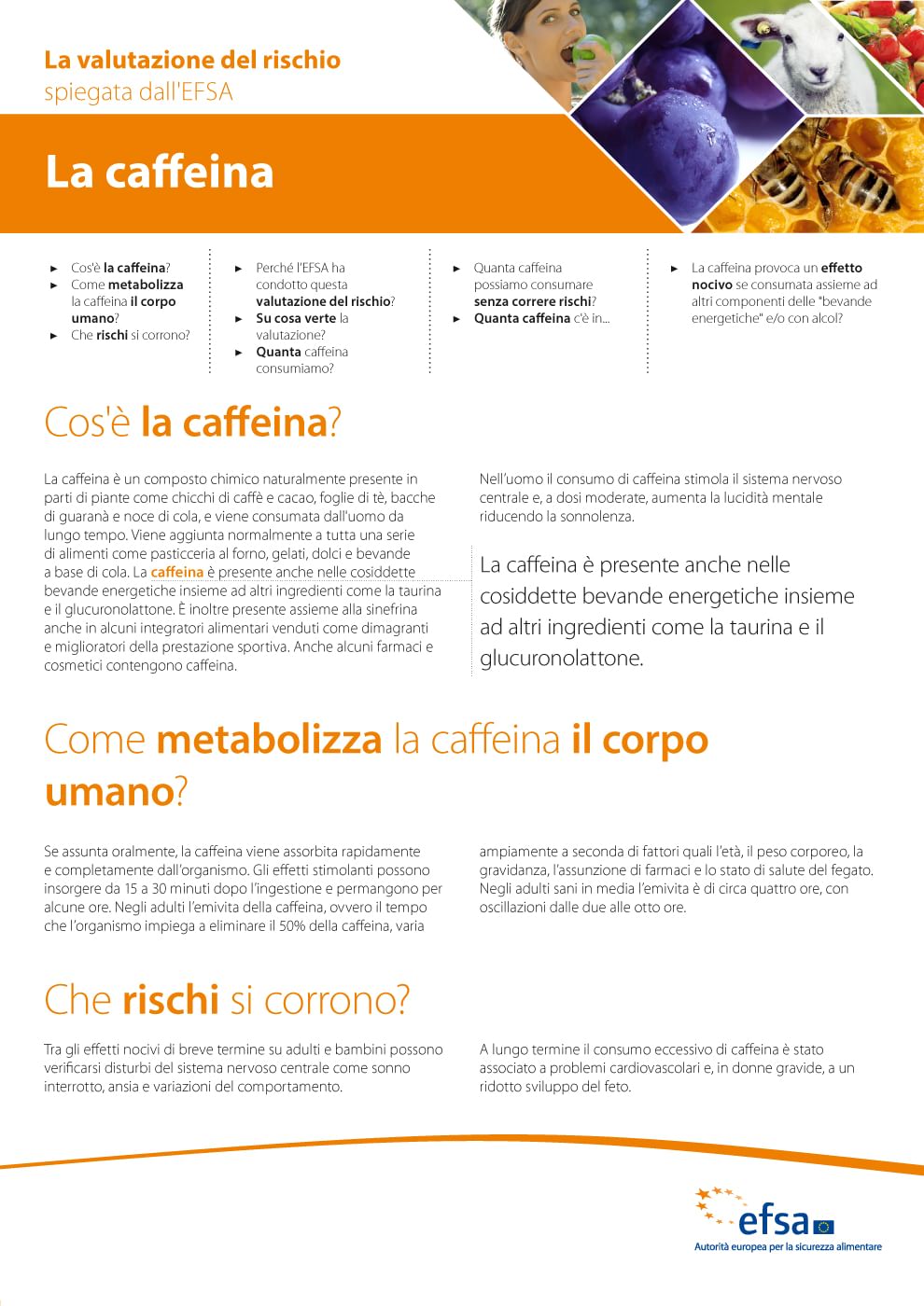 Cosa si nasconde in una tazza di caffè
