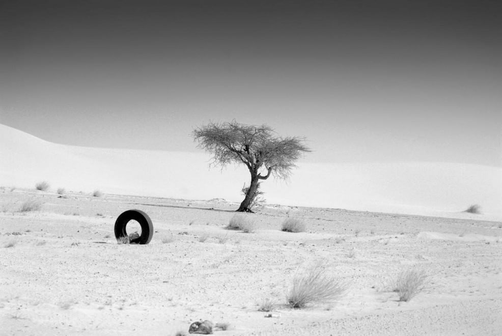 Discarica deserto, dalle bambole ai divani: quante sorprese