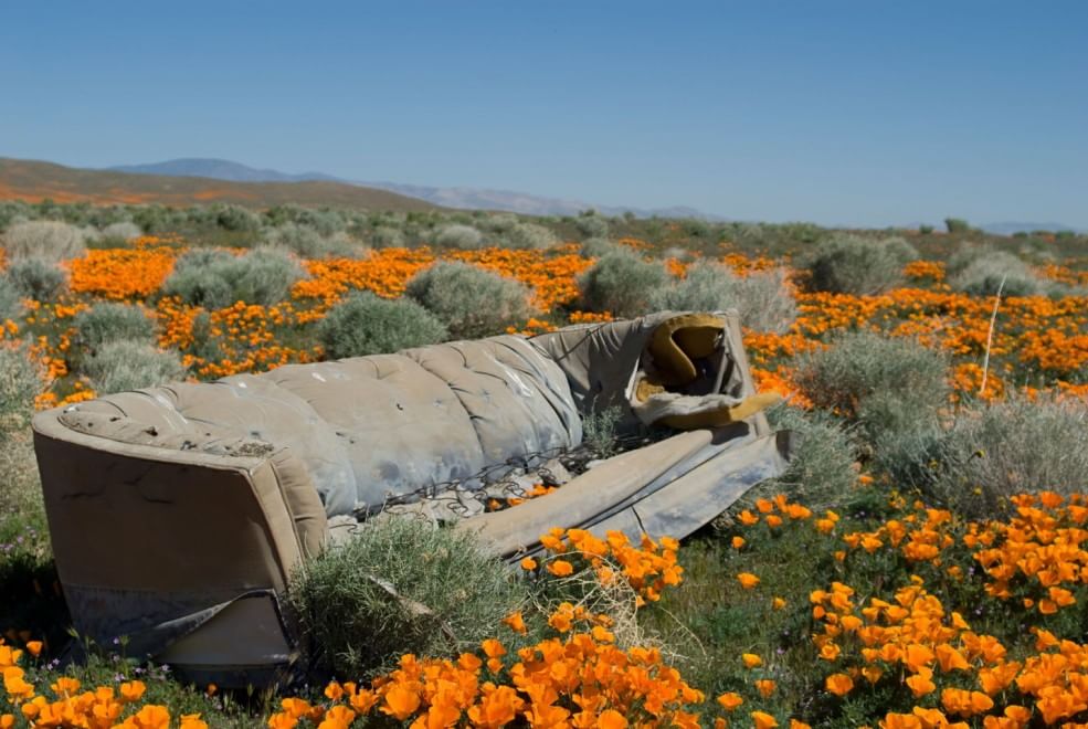 Discarica deserto, dalle bambole ai divani: quante sorprese