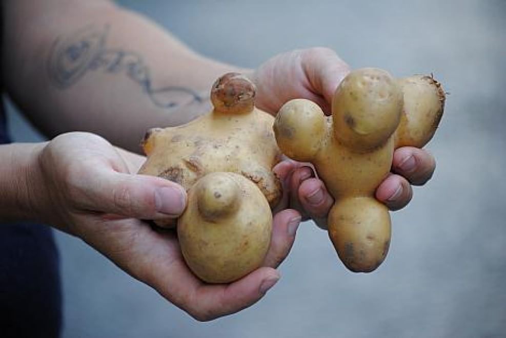 Spreco alimentare, le associazioni che lo combattono