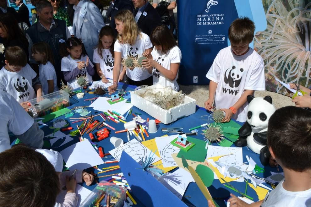 Giornata Mondiale Oceani. Wwf: "Un patrimonio su cui investire"