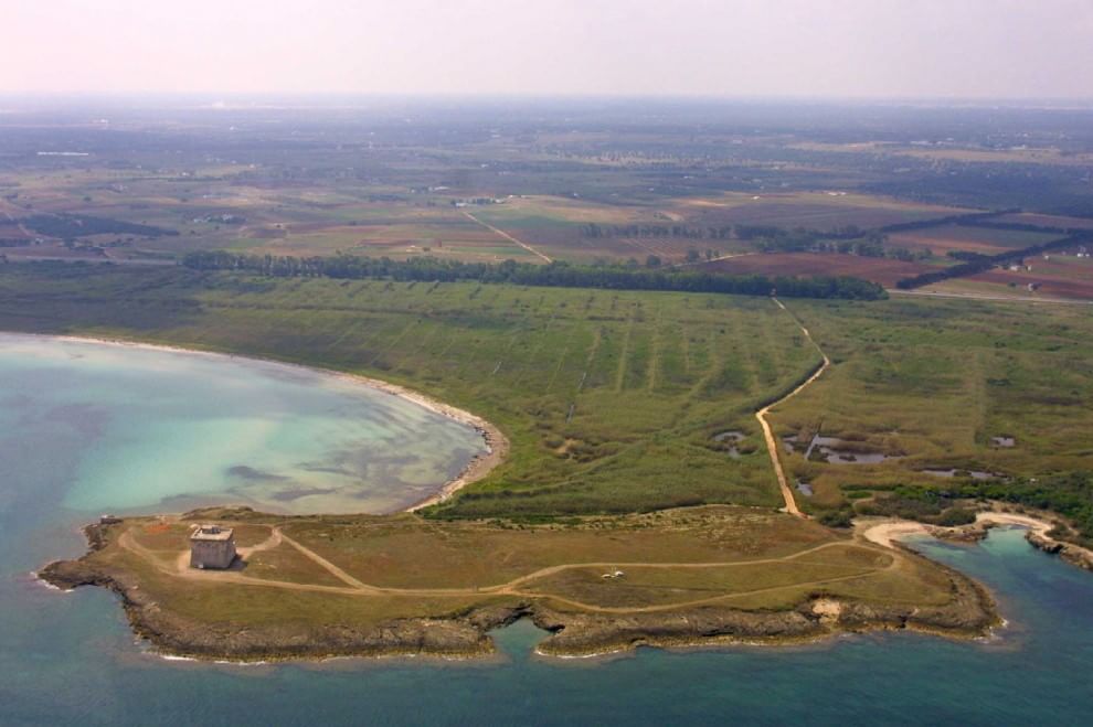 Giornata Mondiale Oceani. Wwf: "Un patrimonio su cui investire"