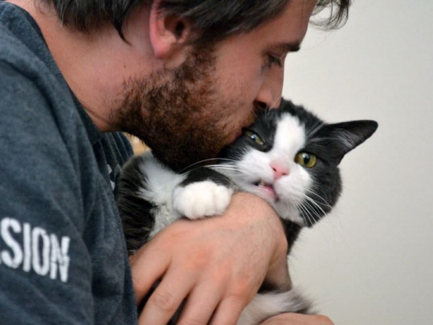 Baci e abbracci: quando il gatto non gradisce