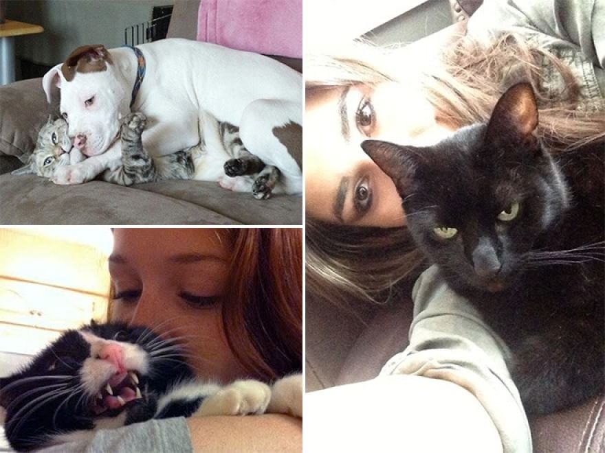 Baci e abbracci: quando il gatto non gradisce