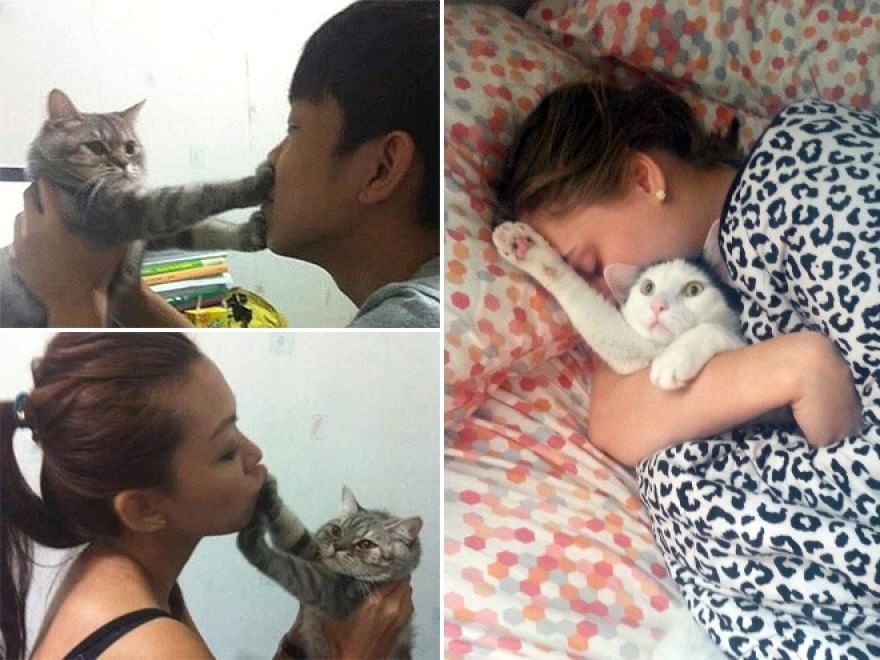 Baci e abbracci: quando il gatto non gradisce