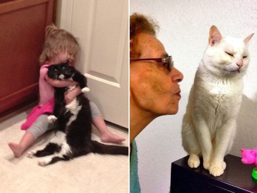 Baci e abbracci: quando il gatto non gradisce