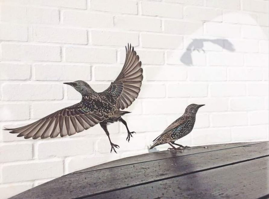 Iphone Photography Awards, ecco le foto più belle