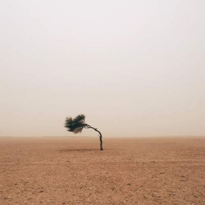 Iphone Photography Awards, ecco le foto più belle