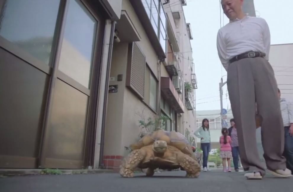 Tokyo: a spasso con la tartaruga gigante