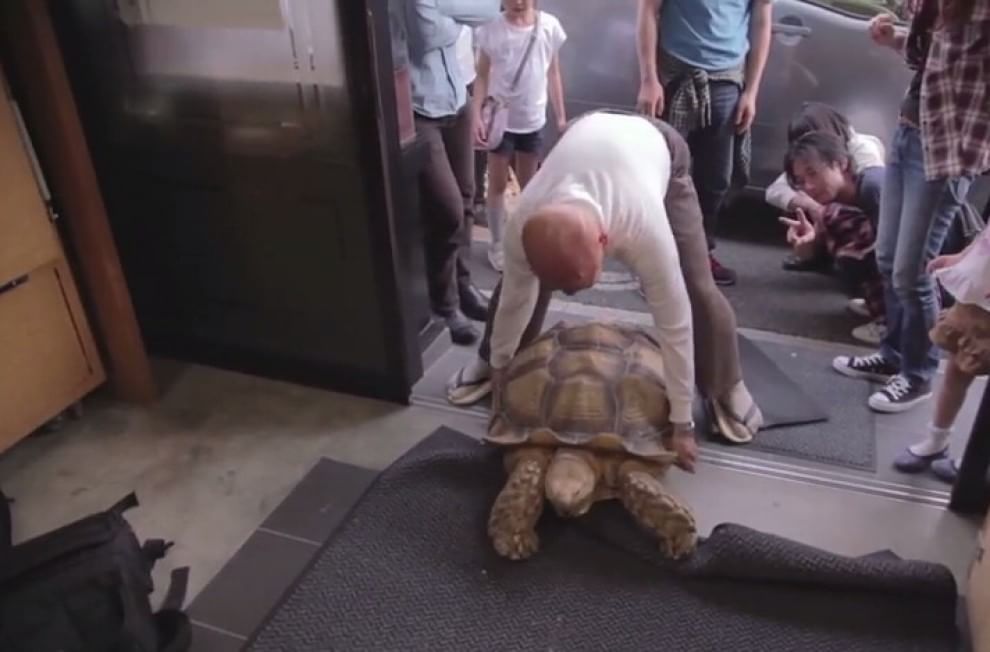 Tokyo: a spasso con la tartaruga gigante